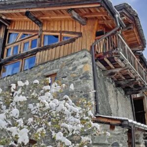 Chalet Chalet Myrtille - 10 personen  Europa Nancroix / Peisey-Vallandry