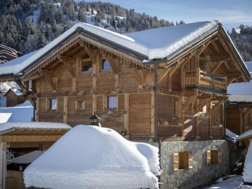 Chalet Chalet du Cocoon Pierra Menta 2 met sauna en gedeelde buiten-whirlpool - 15 personen Europa Plagne 1800