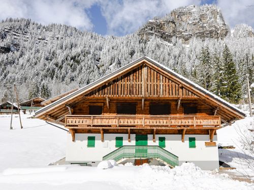 Chalet Chalet-appartement Les Mérisiers-en Haut - 6-8 personen Europa Châtel