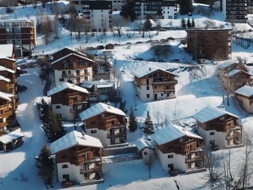 Chalet Chalet Les Chalets des deux Domaines - 17-21 personen Europa Vallandry